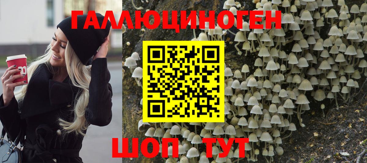 Урюпинск  Псилоцибиновые грибы мицелий  Вход с VPN 